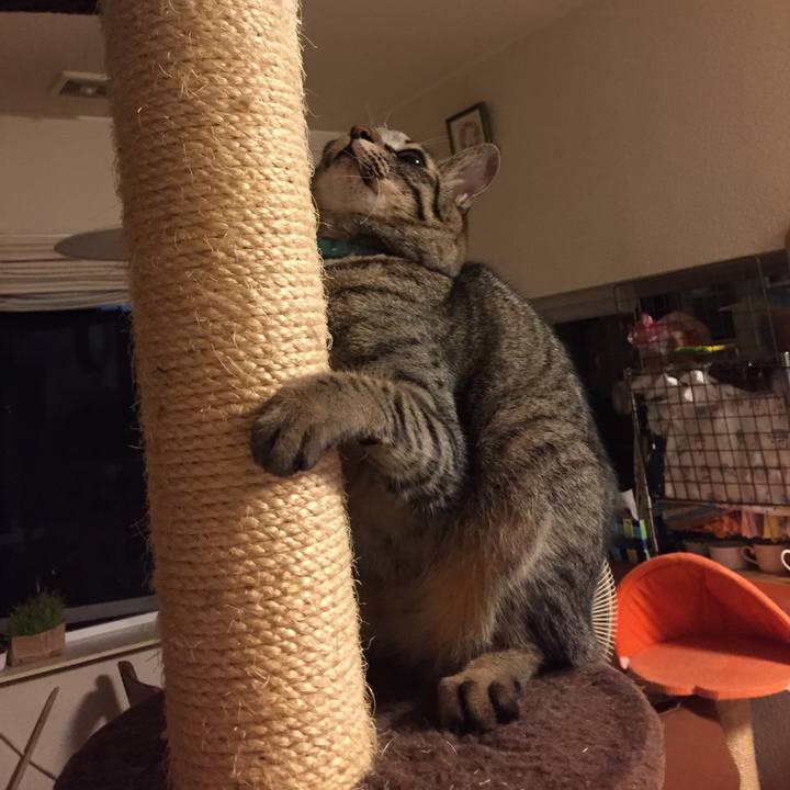 60afd5fa d78e 43d8 808f e8b0bcfa9694