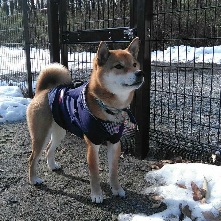 60b029a1 0659 4403 8857 64c043b2d164