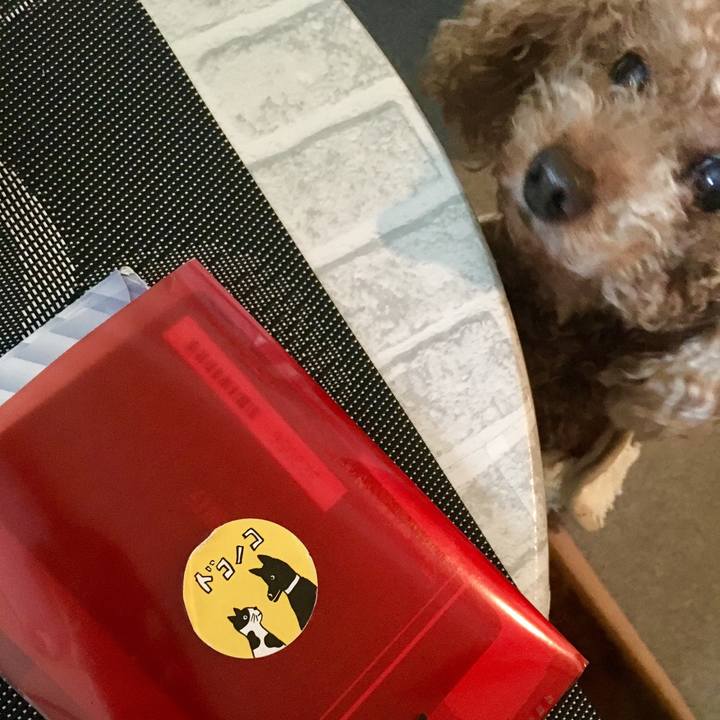 60b17aea a7dd 47f1 8ca1 ebf020fc18a4