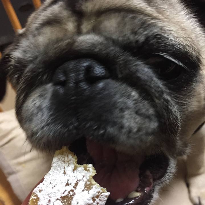 60b2686c 0ea5 4dc0 825b 8efcfaf6fd6c