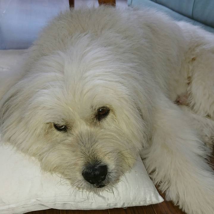 60b2735a 9b3e 4ca8 b635 ce6c5c1e5379