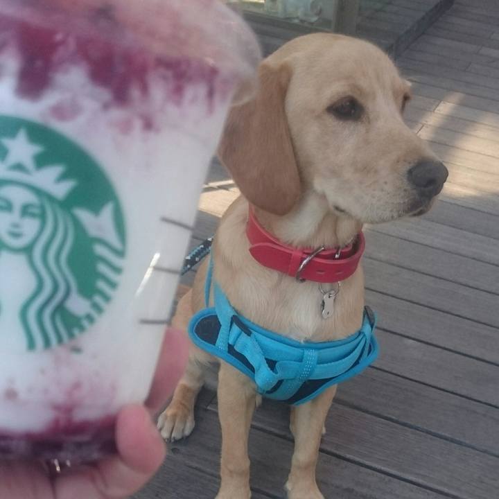 60b28159 0f40 425a a3a7 49b4481d2579