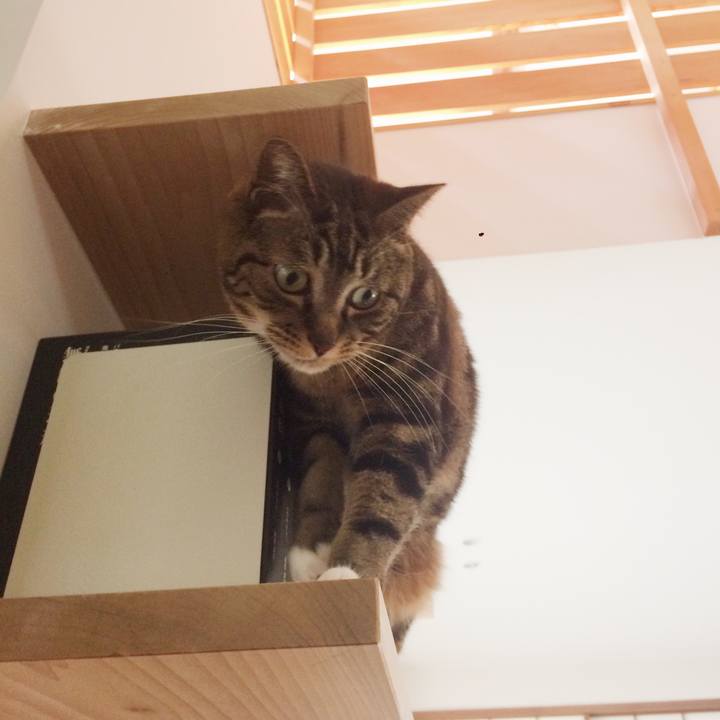 60b2cc9f f741 4d58 afd1 b60283896e46