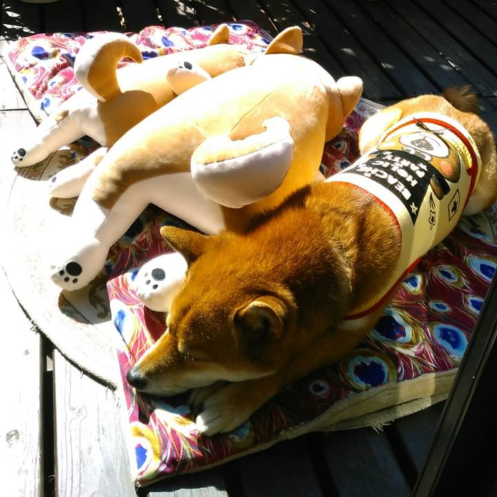 60b2f99e 58ff 4411 8e45 77da54b66947