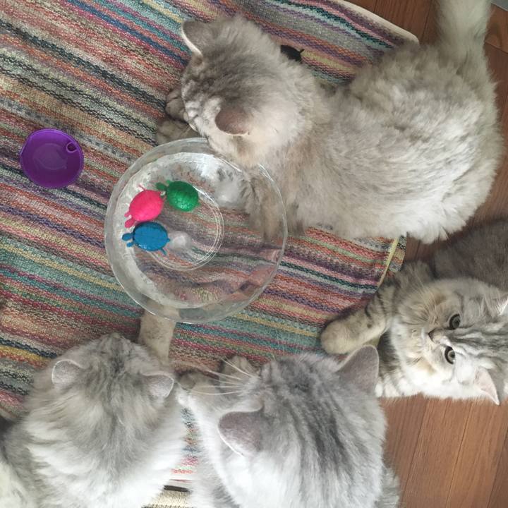 60b376ea f508 4018 9708 570bec2de83d