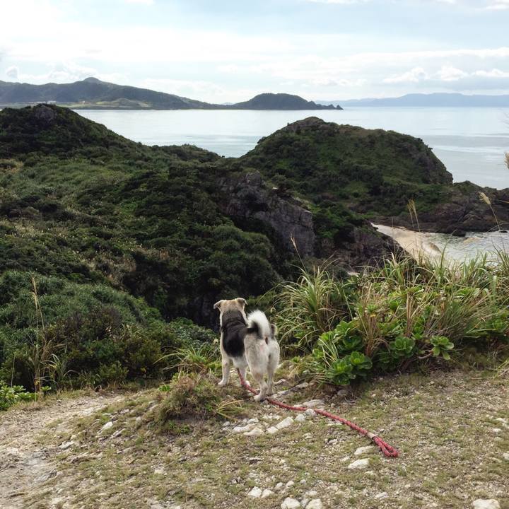 60b3a5b2 24b5 4960 b60b ff749e33a388