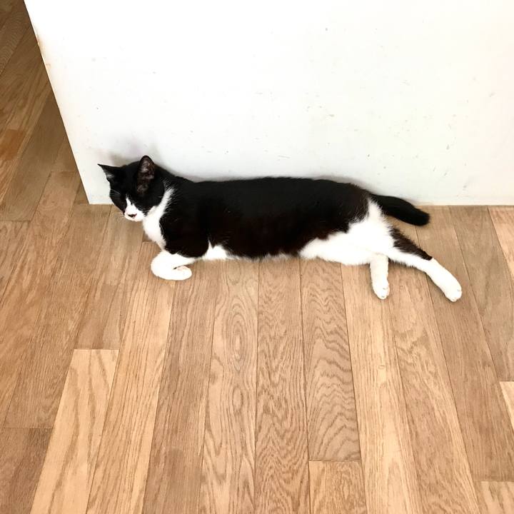 60b47f56 ea63 4bb6 be7f 69cd3ee9deb4