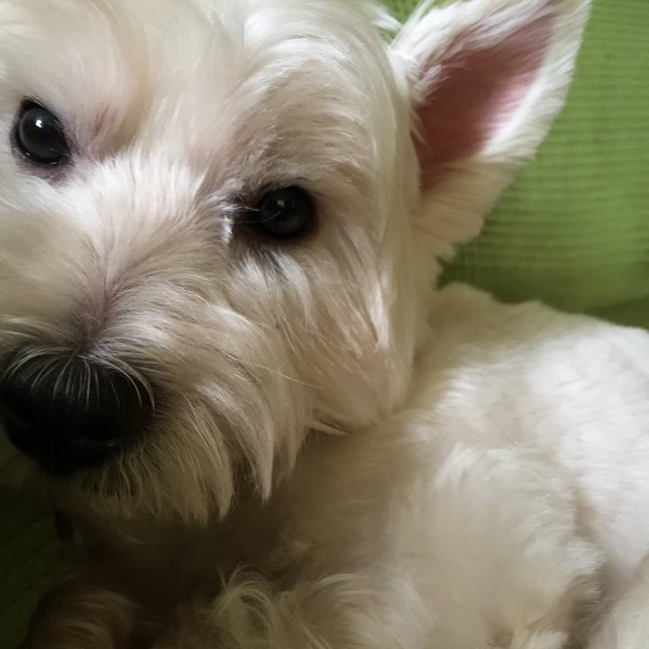 60b49e2d bb97 40ff b01d fb7313f85aad