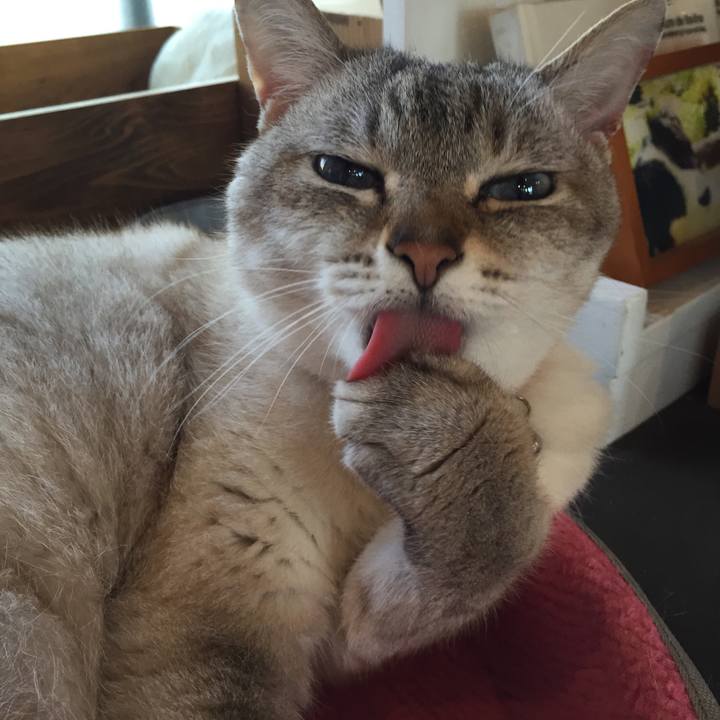 60b5febc 28af 4788 a0ab 077d4a896de9