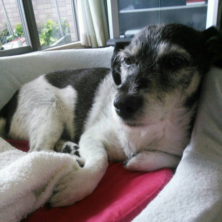 60b61240 53e6 4543 9545 f0619e00b358