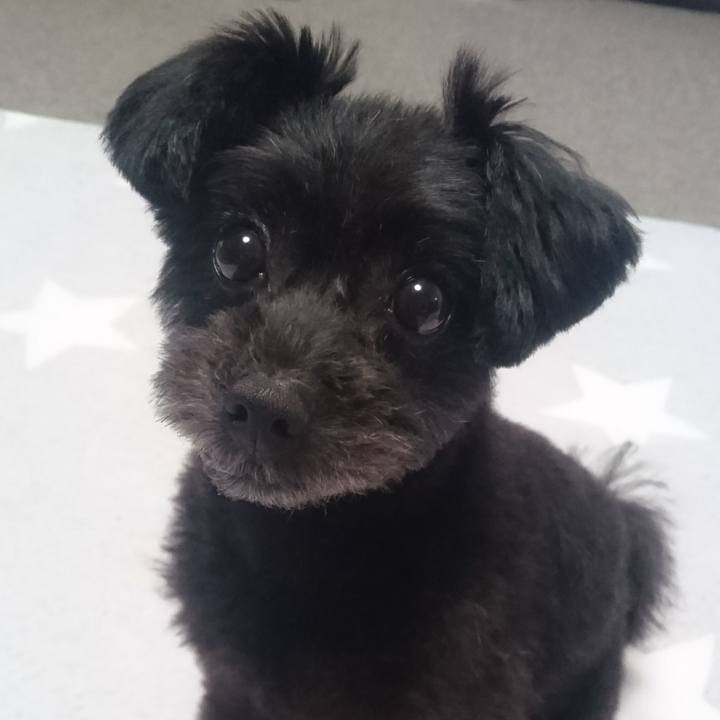 60b71170 46ed 46aa a6e6 0a58a6c73237