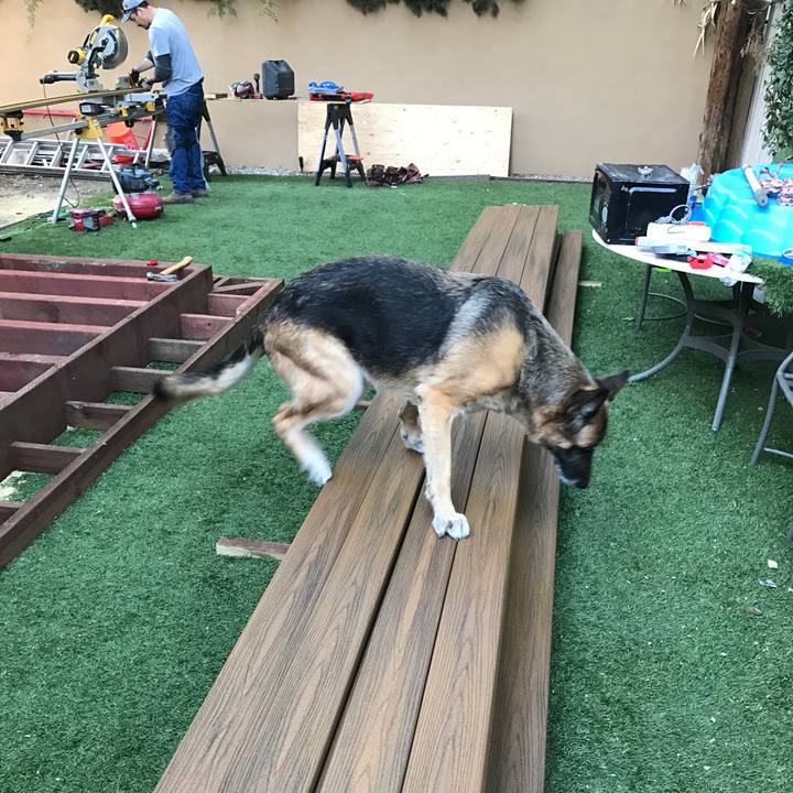 60b7c1d5 faea 42a7 982f 252306901492