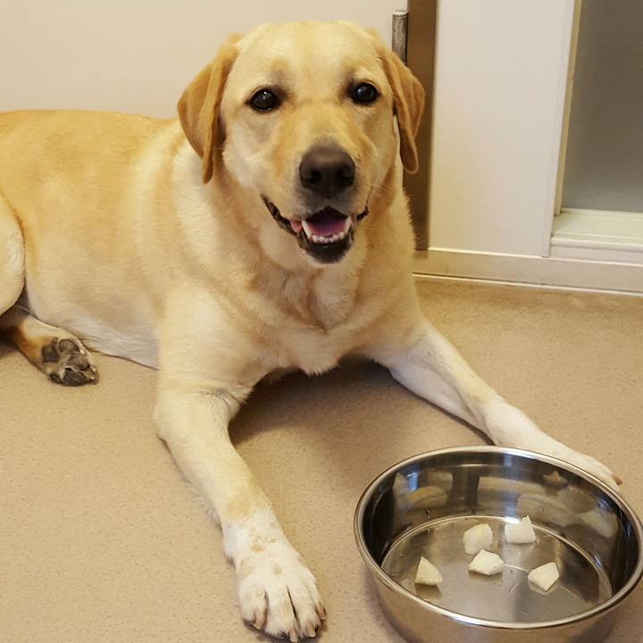 60b7c27f 8f32 41a9 9c1c 464a1a43cc73