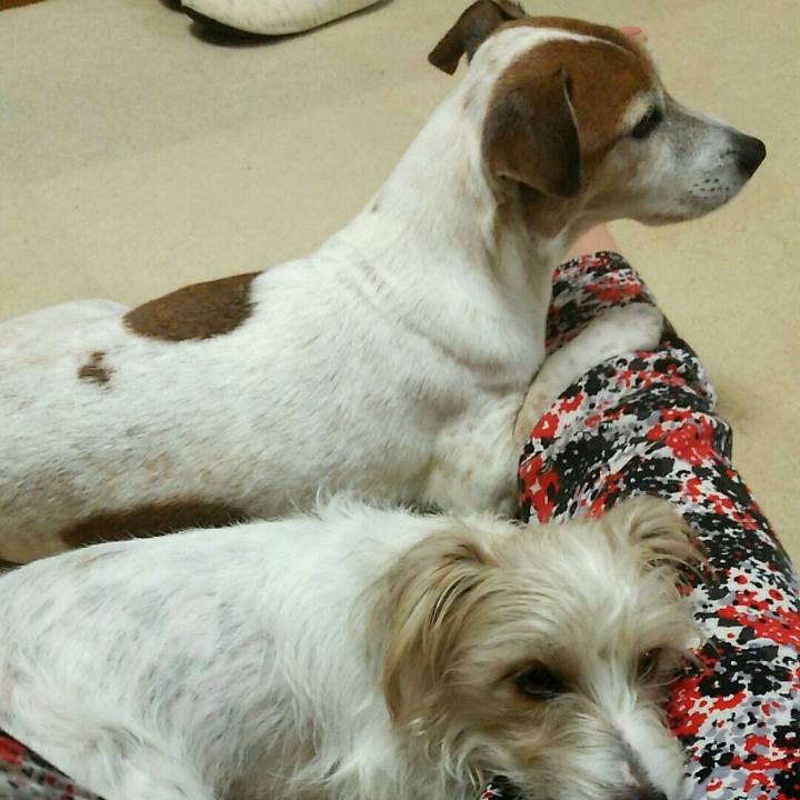 60b829d3 523d 4543 9764 f71b7db83986