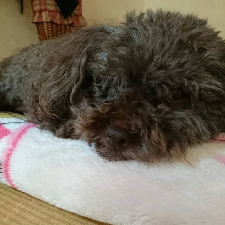 60b8ae96 db85 4729 8211 a0d1ad99672a