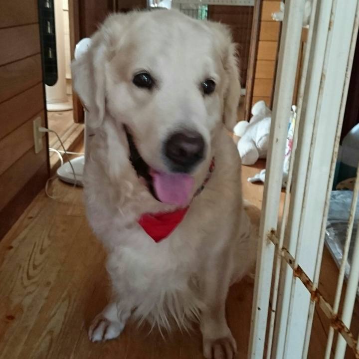 60b9247d cdc4 409e 9c25 27443d1d749b