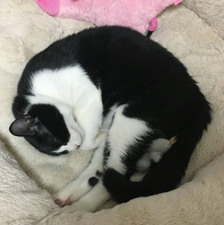 60b9c2aa 16f5 4013 b084 8f4fd2f19a01