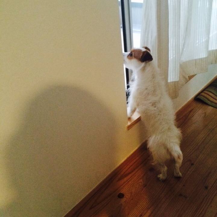 60b9d690 818f 4209 98a0 418fcd54619a