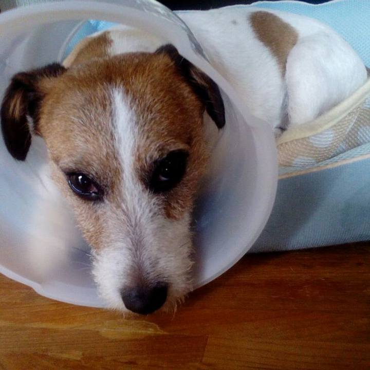 60b9e8b6 c01b 4ea4 91e5 c67cd154768f