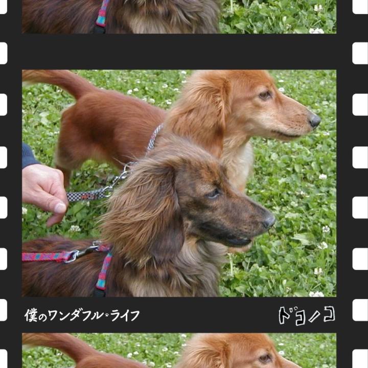60ba5049 c7dd 45d0 8548 f8e2e8a1a6f6