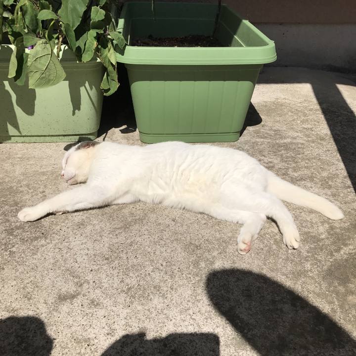 60bab63a c930 4828 aa98 835239bcba59