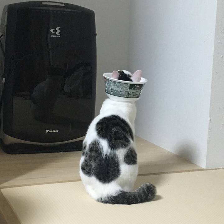 60bad463 3d01 4be0 90bb 5edfb03ad29b