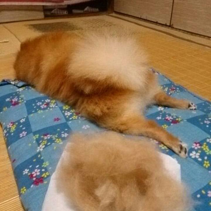 60bb3e53 055b 42c1 ab39 bc87cc799c77