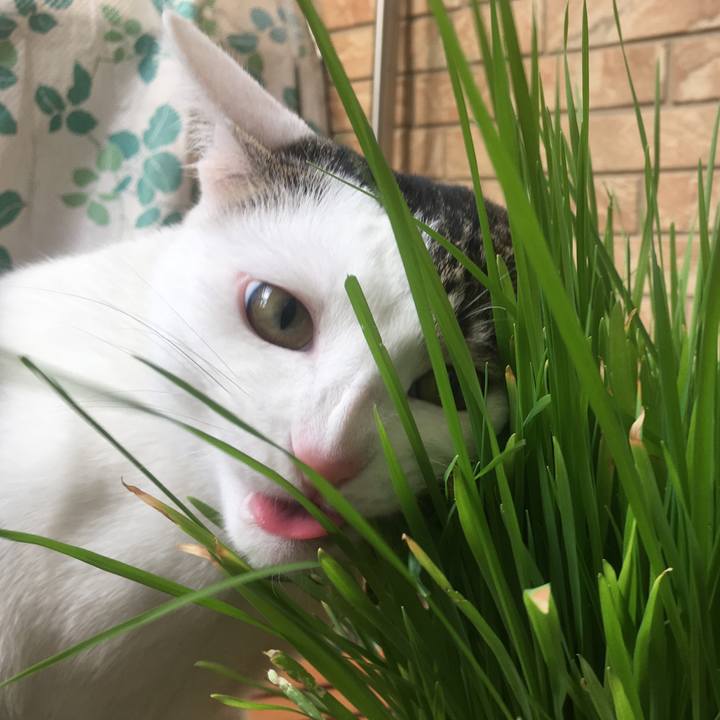 60bb9e41 677d 46a8 881c 11ed8b051e37