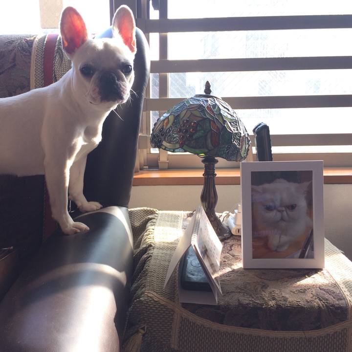 60bbcc11 58ac 4fd1 8aaa 710039b6d8e1