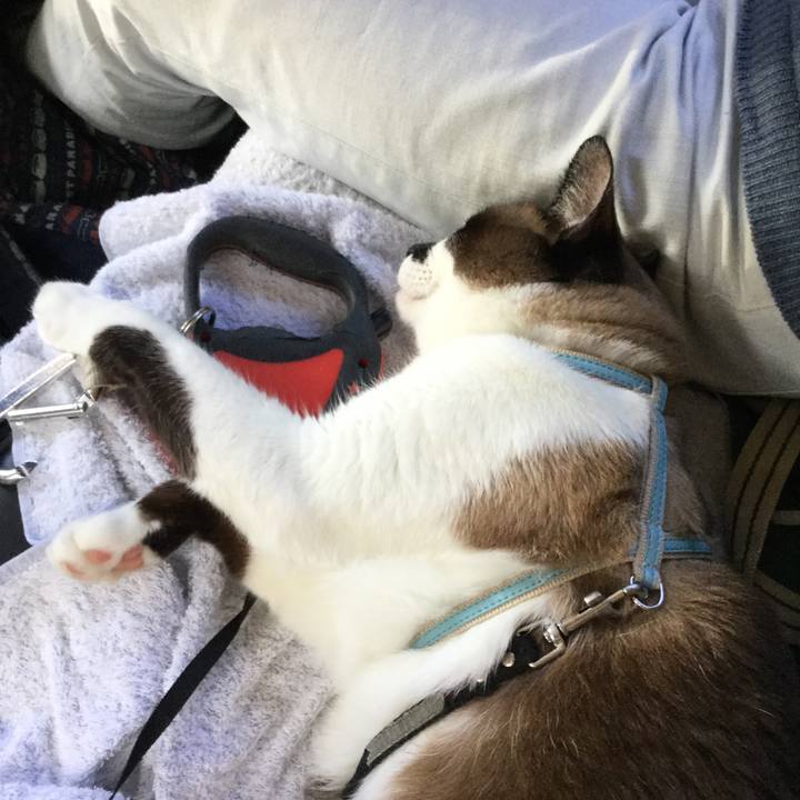 60bd26de 1415 4dd5 9369 9a6c9c41cad0