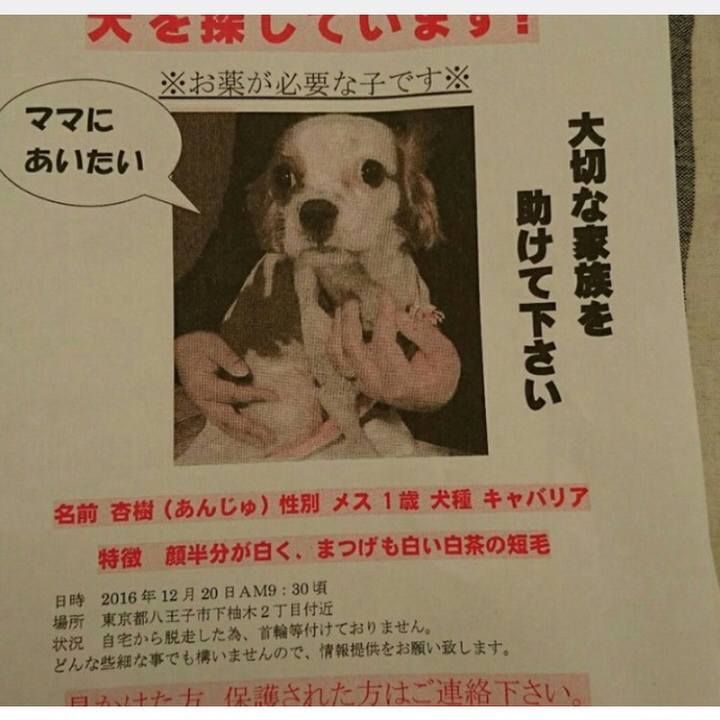 60bda79a bb6e 4185 a850 842176555af9