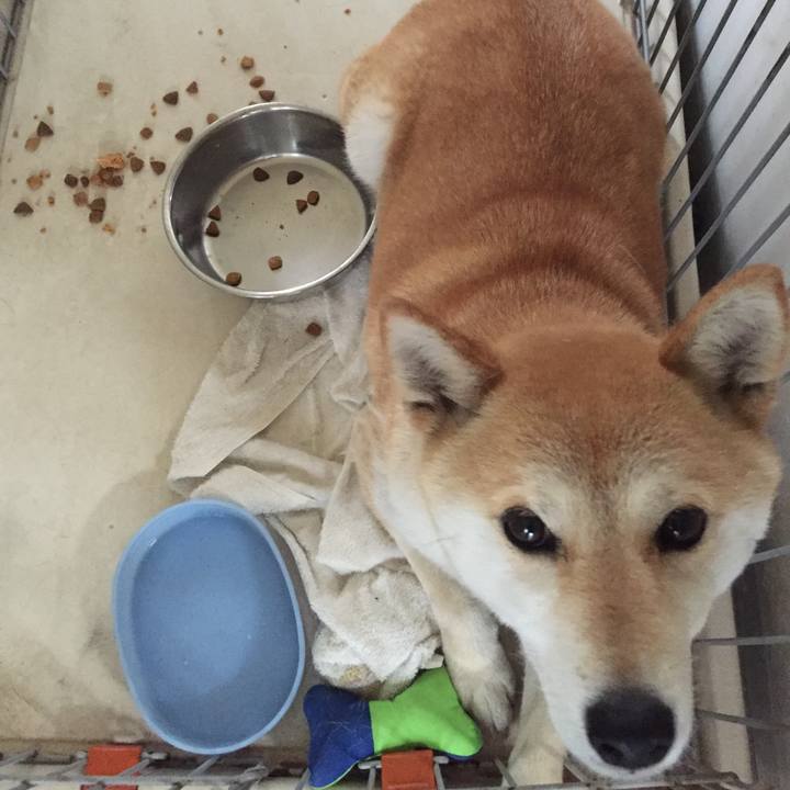 60bdd4bc 4313 46d1 b3ff d1136b3fd807