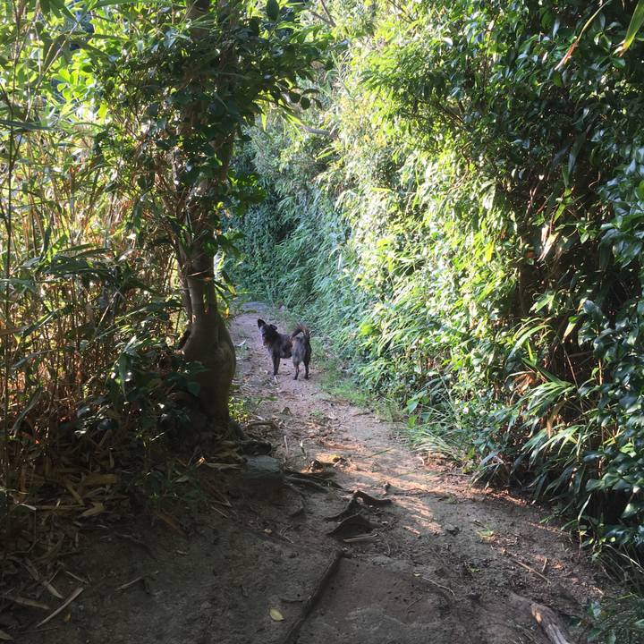 60be8c52 a714 4136 958b 9cb08bf9d5d6