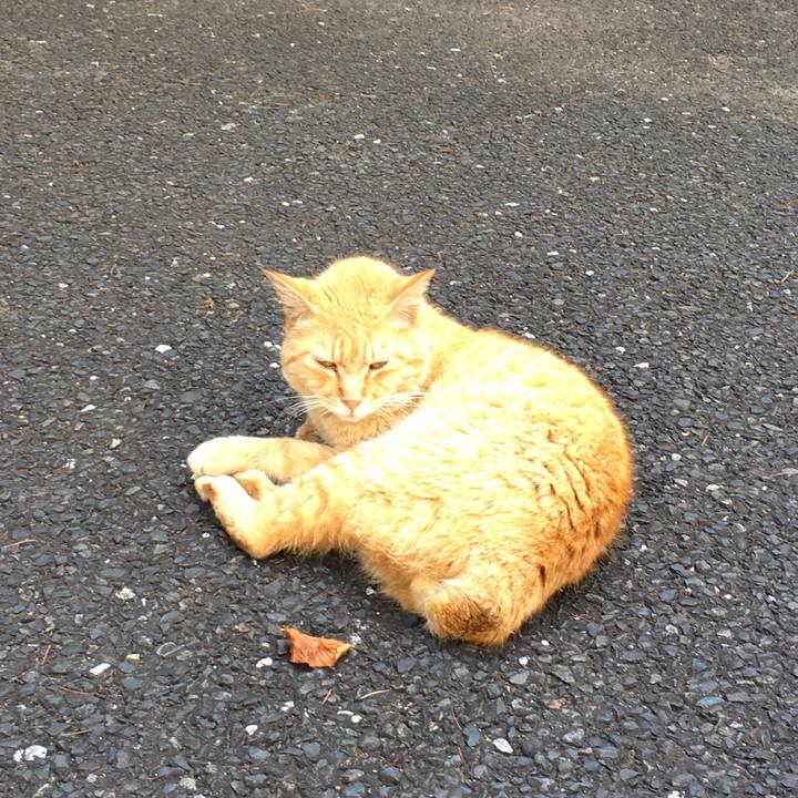 60bf568b 9e82 45c9 a927 8b69686aa09c