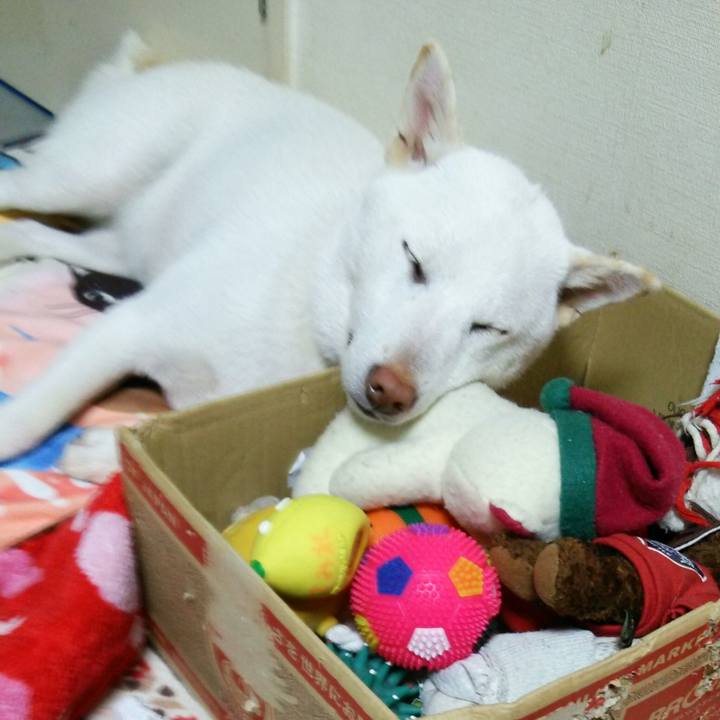 60bf94b8 8d95 43c7 aa80 b011dd9cf2d0