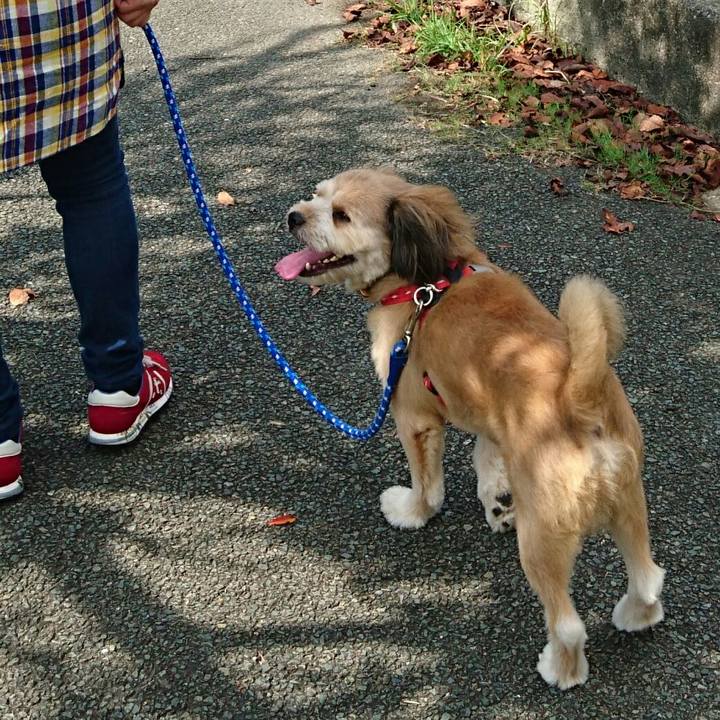 60bfa5ae 1a43 4f88 9619 e642c66e4cb5