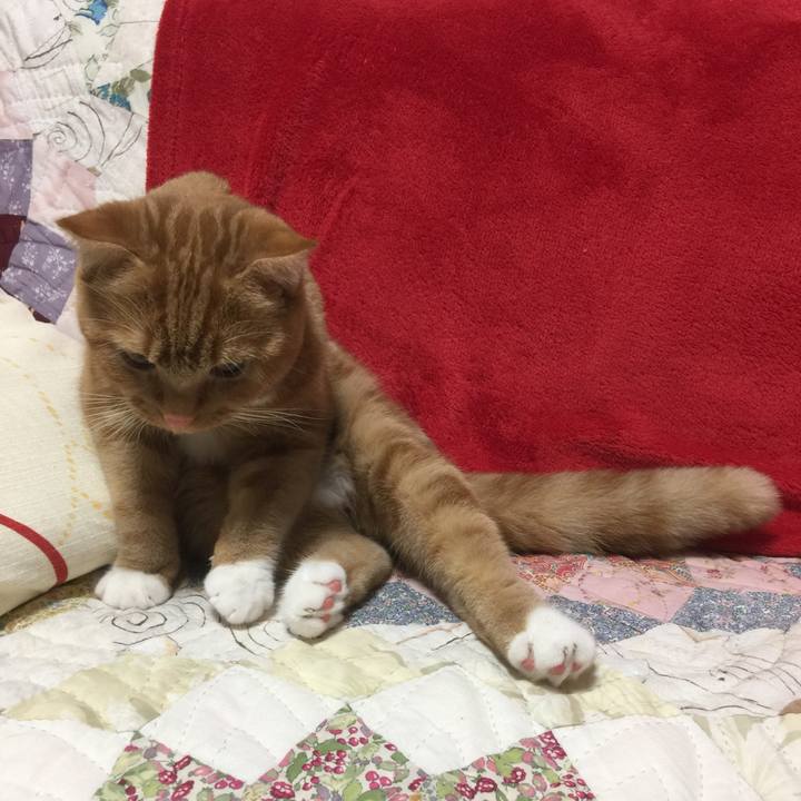 60bff445 9b29 4db8 8861 a9f292c191be