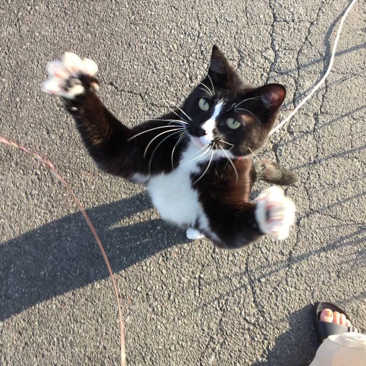 60c05272 e713 49af 8ed9 39465f10d3dd