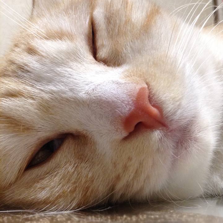 60c098b9 711a 457d 8c25 b13672a00730