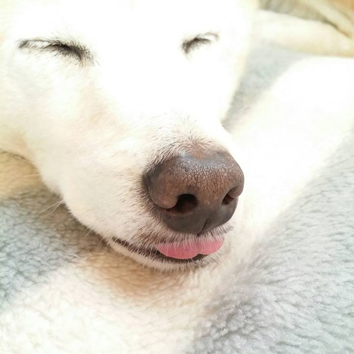 60c0f594 cf3e 4267 8508 dd55e3b81b33