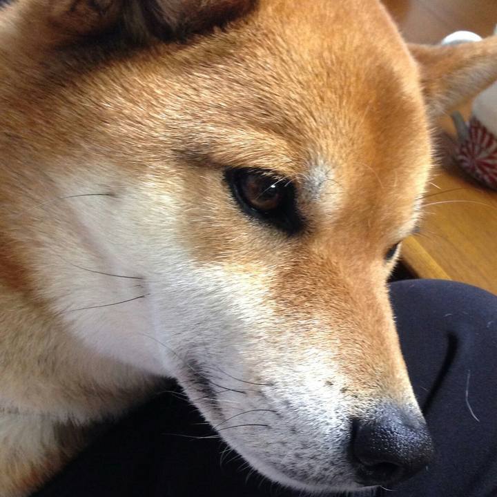 60c184a0 8a5b 4190 b494 dfaf2cddab6c