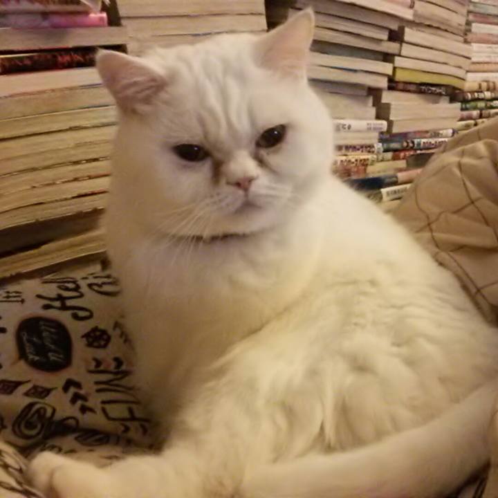 60c23dba 9054 4ead 9f57 bedd5606fd7f