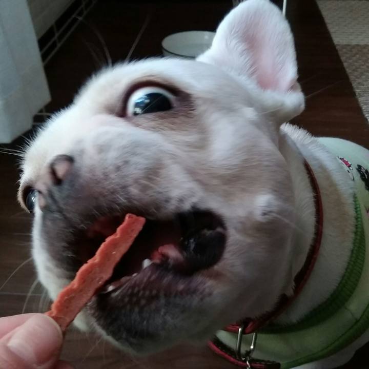 60c2563a b716 46b7 9c99 1b01c46d901c