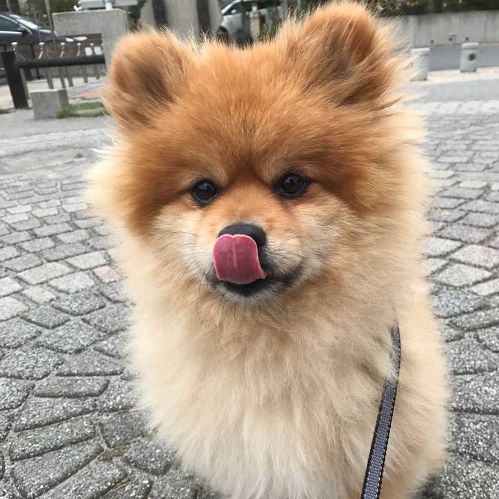 60c30461 73b1 4d6b 965f 2a2aa47dea78