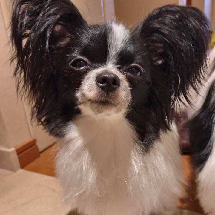 60c330a2 bba1 4083 8391 4e2e8a04e3fd