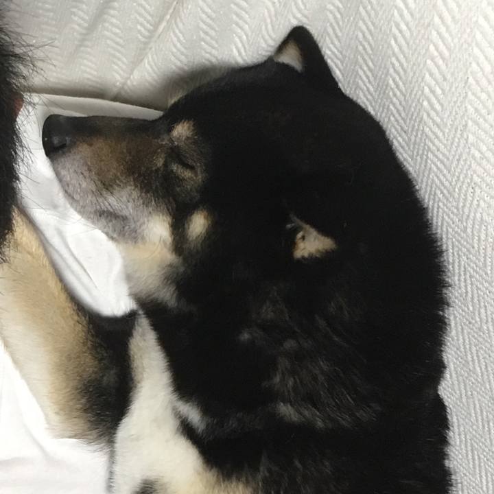 60c34f9f 5da1 4511 8330 8543194f0216