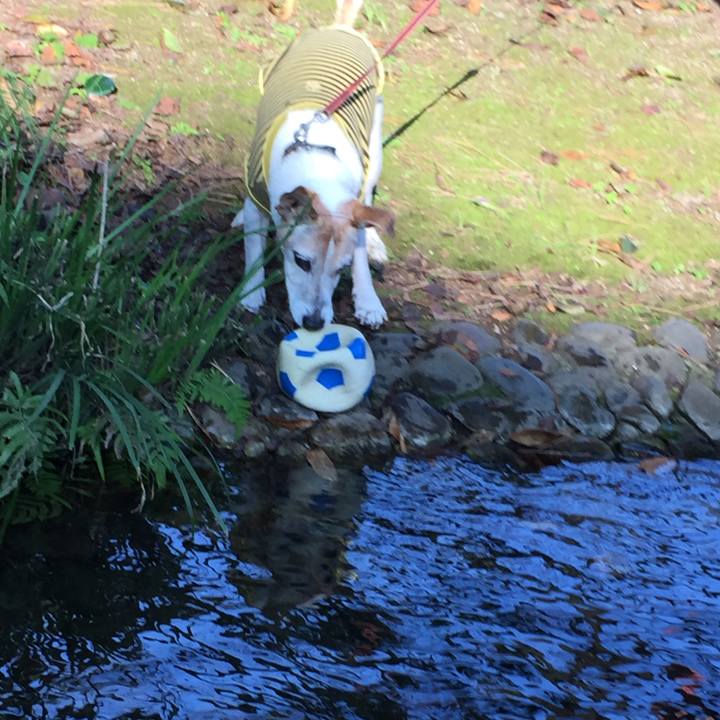 60c367d2 190c 4071 a276 bad8f865f84b