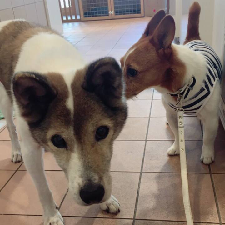 60c44f2c 5ec9 45bb a5a8 b33343f4d541