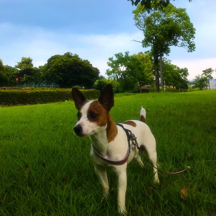 60c45503 0279 4057 acb1 6f2fd3402132