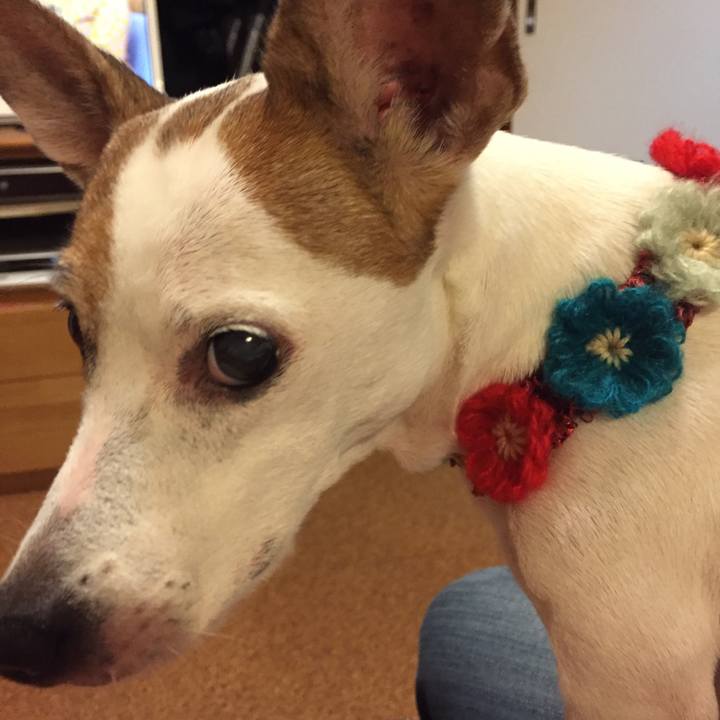 60c5216e ef96 475e 8fb9 57c7a7bd66c0